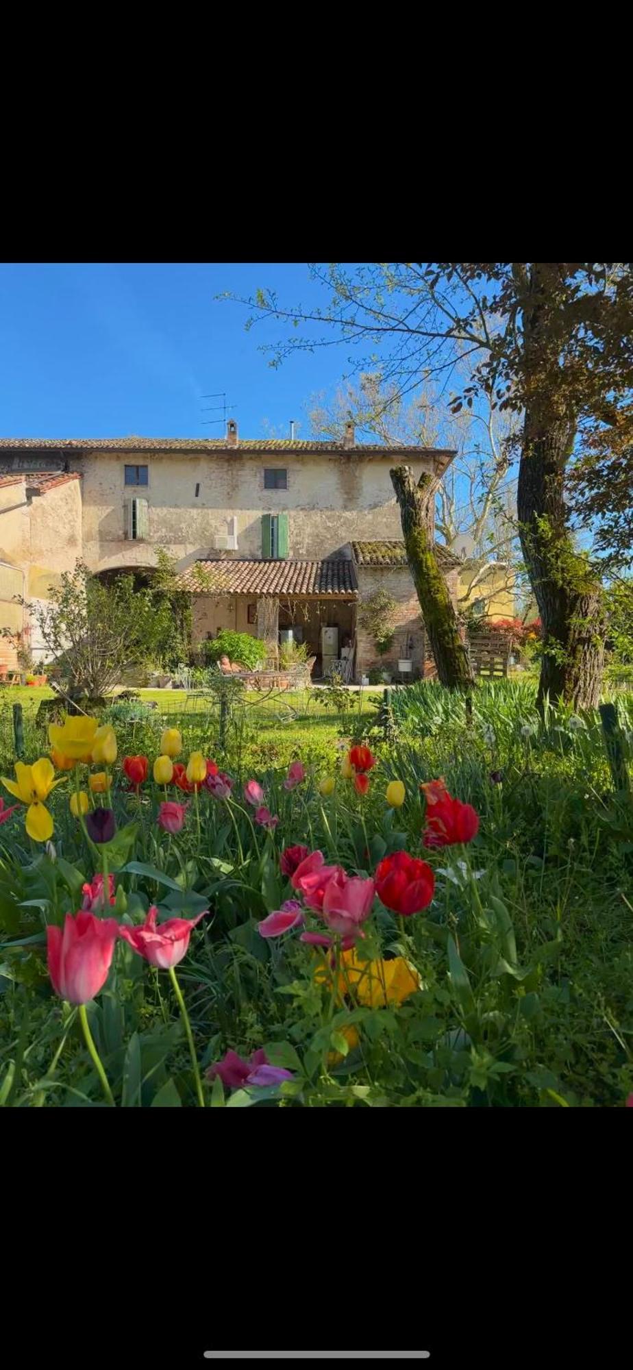 B&B Ostria Vento Medesano Екстериор снимка